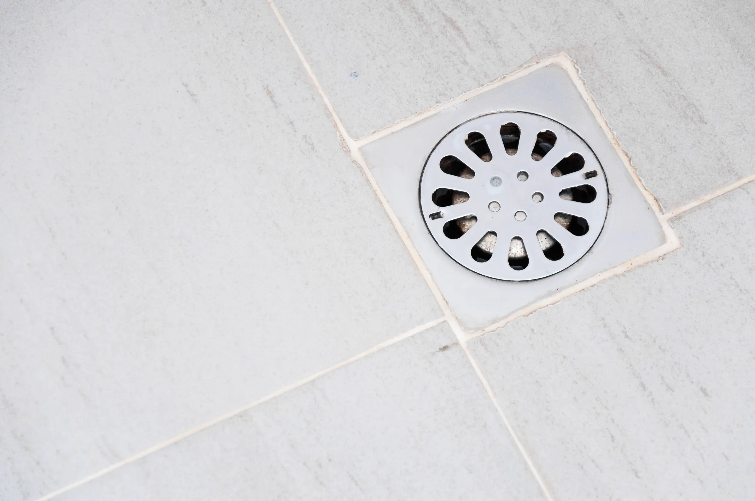 shower drain