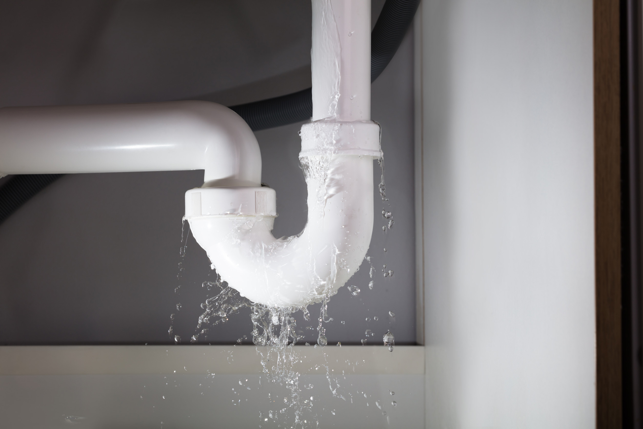 Pipe leak under the sink